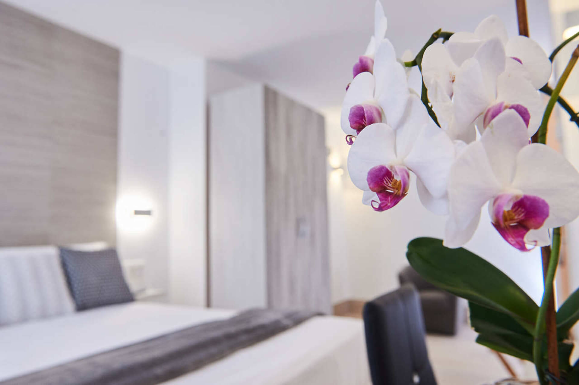 Foto flores de decoración habitación doble con hidromasaje